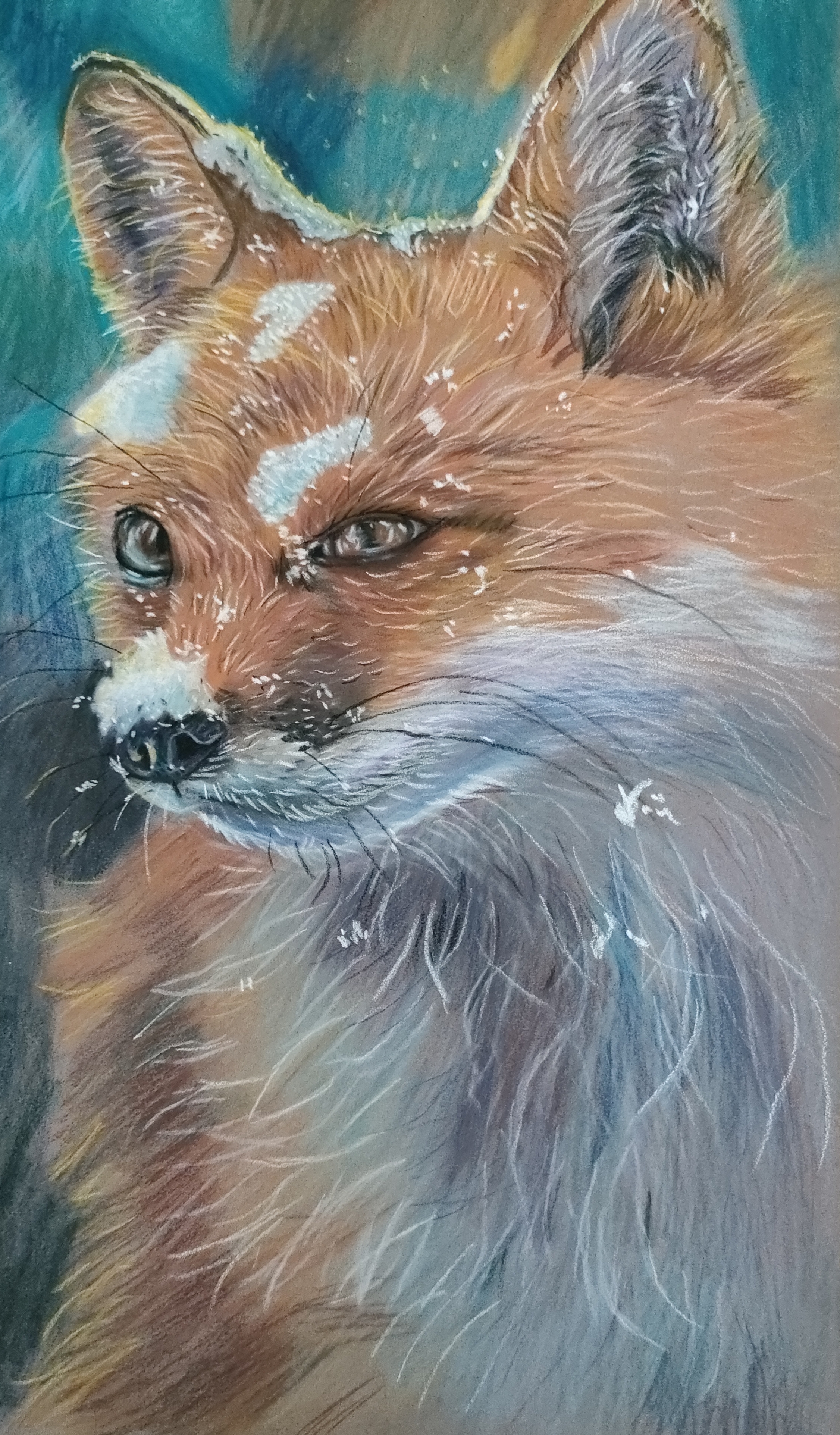 Fox 