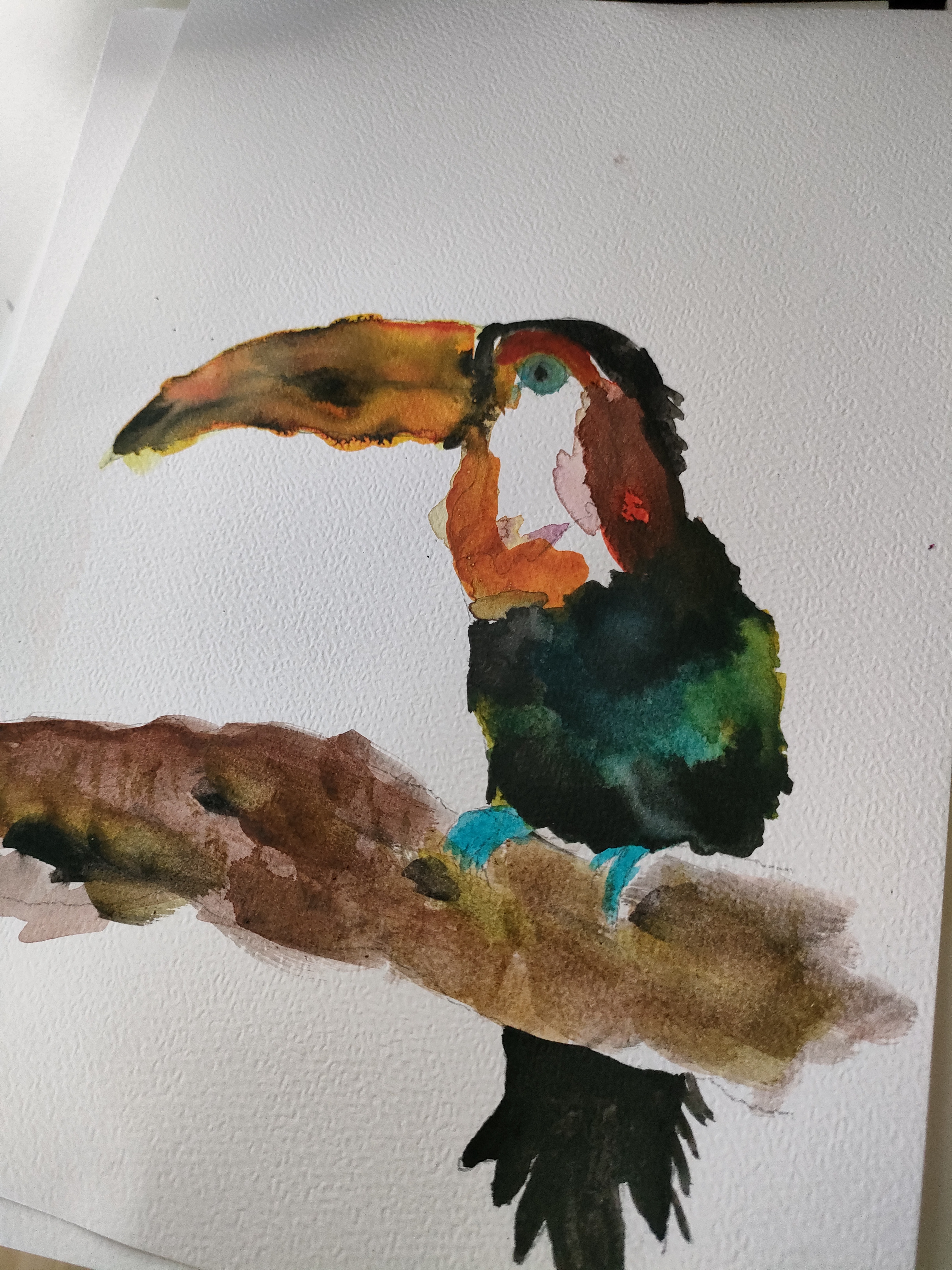 Toucan 