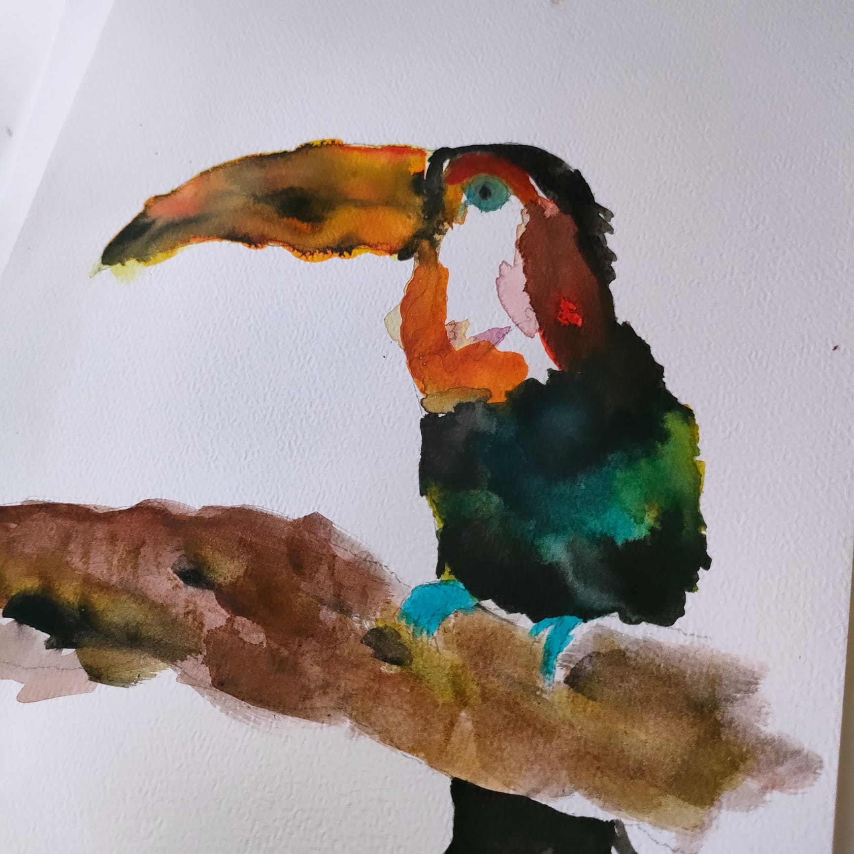 Toucan 